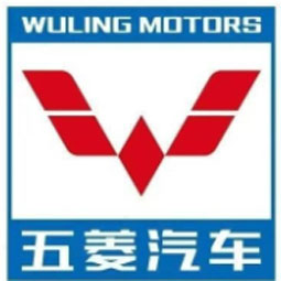柳州五菱汽车工业有限公司山东分公司logo